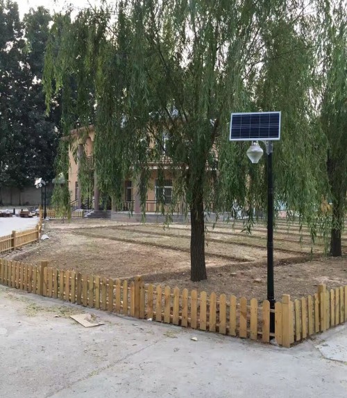 ̫���ͥԺ������ϵ�а���